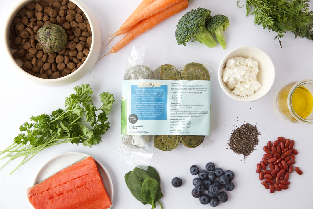 Salmon Companion Bites