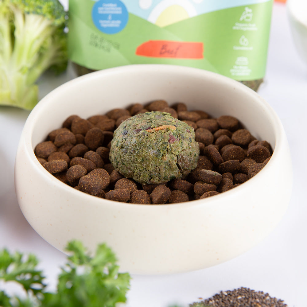 Beef Companion Bites