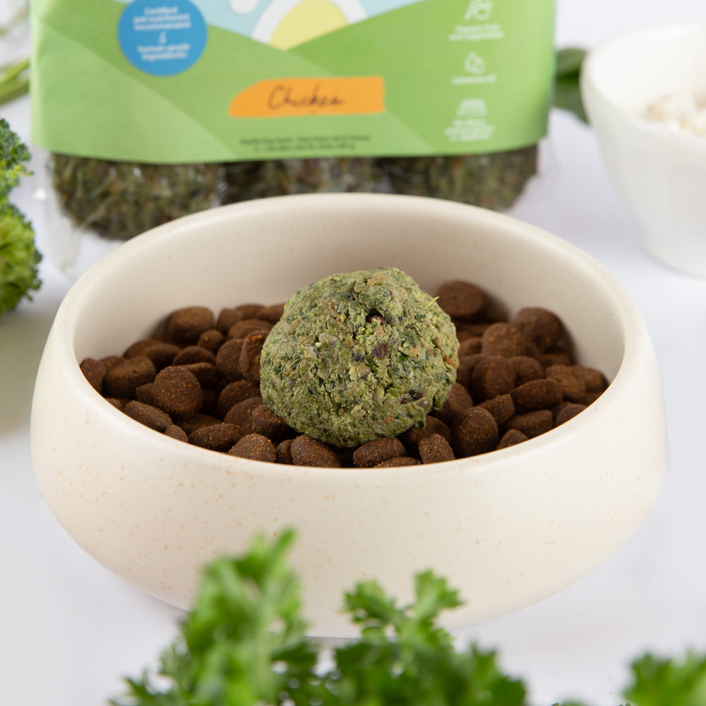 Chicken Companion Bites