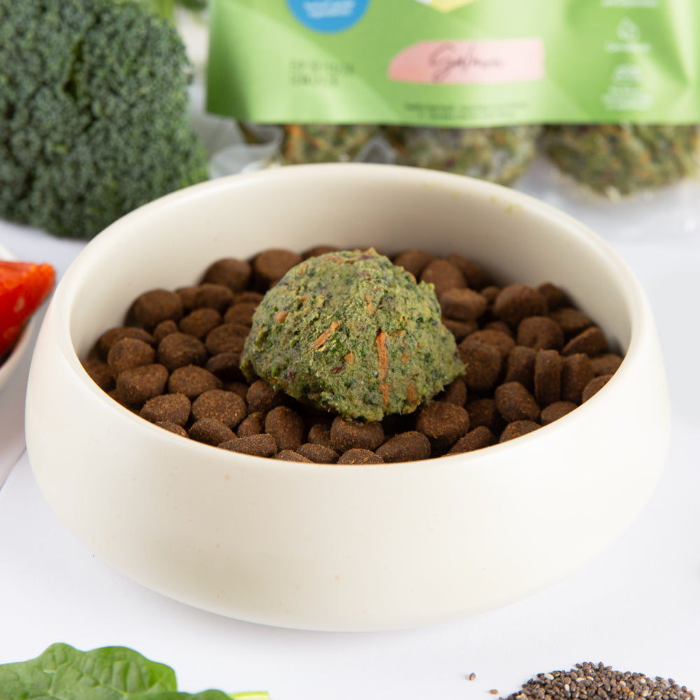 Salmon Companion Bites